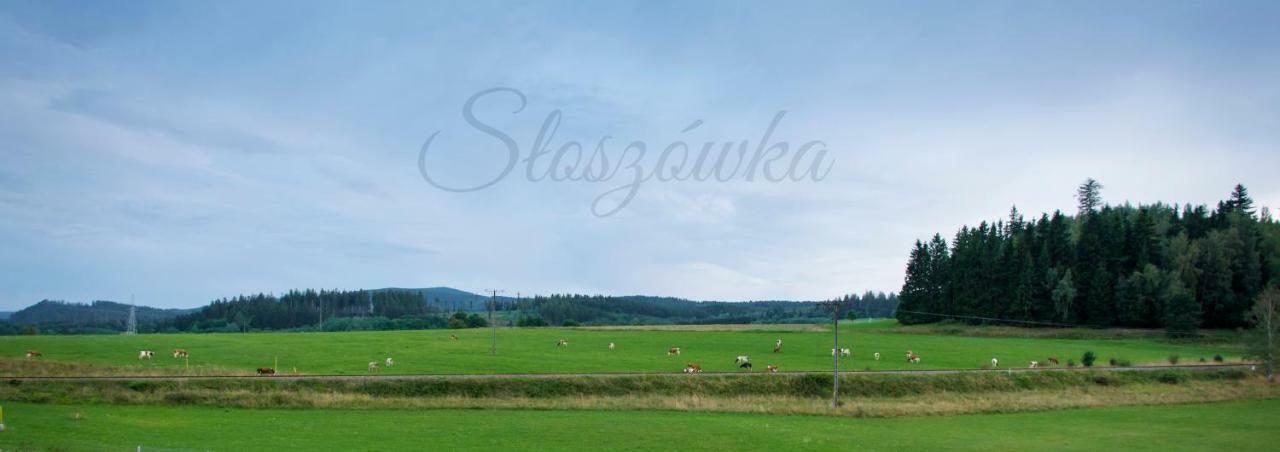 Agroturystyka Słoszówka Duszniki Zdrój Exterior foto